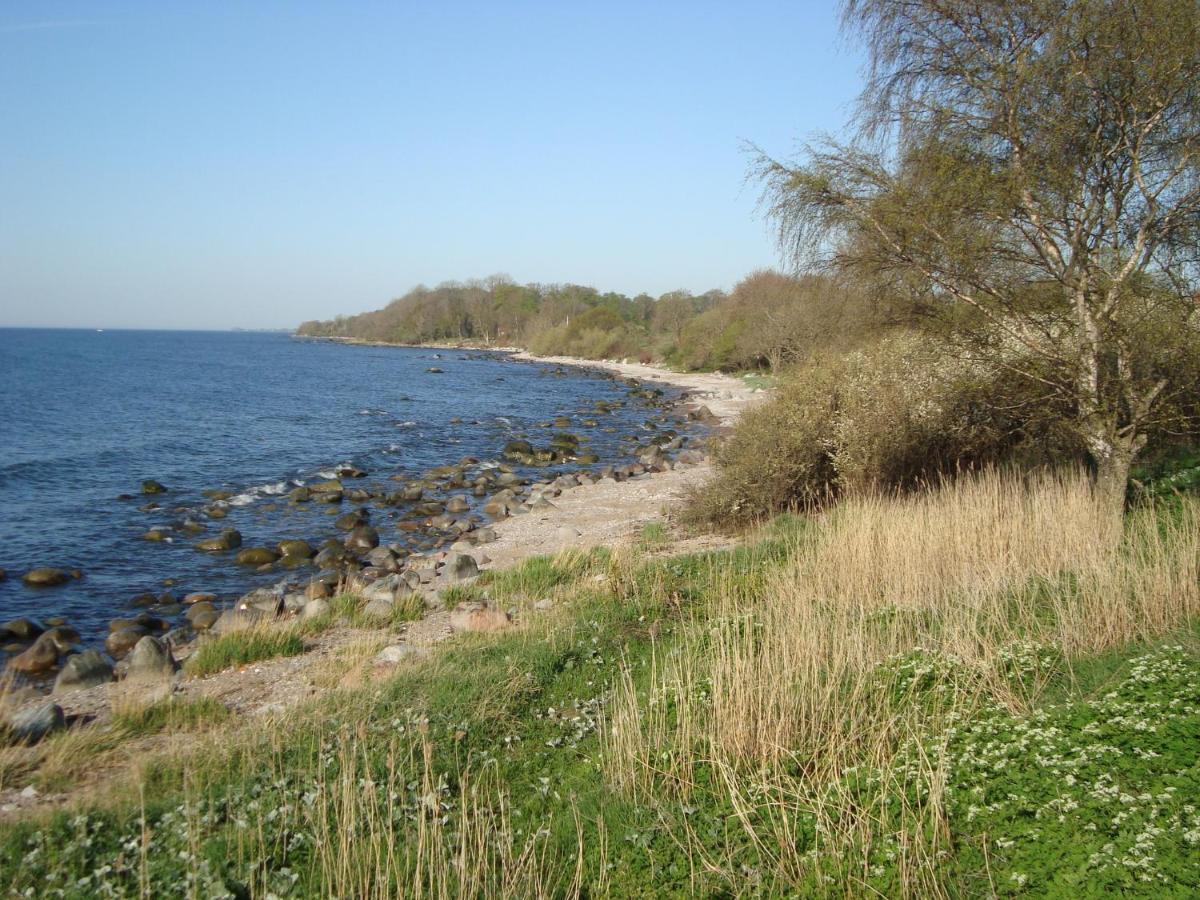 Guest Cottege Villa Ystad Eksteriør bilde